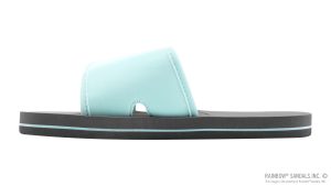 101STSLD-AQGY-2k.jpg