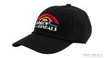 Rainbow Sandals Dad Hat Vintage Logo